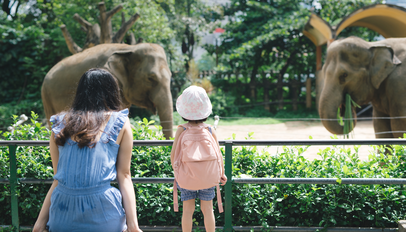 Discover the Best Zoos in the US